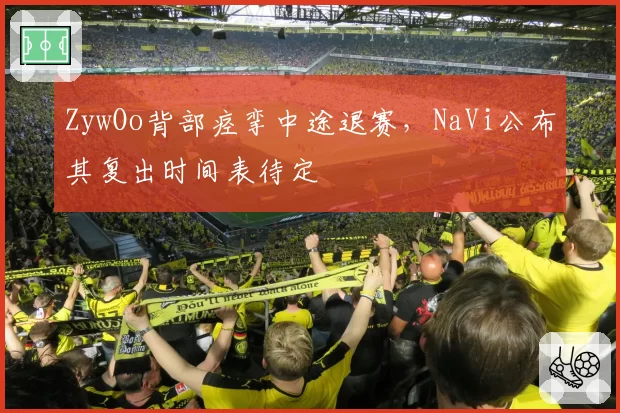 ZywOo背部痉挛中途退赛,NaVi公布其复出时间表待定