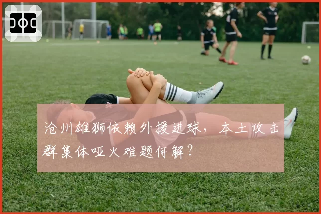 沧州雄狮依赖外援进球，本土攻击群集体哑火难题何解？